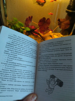 Александр Бессонов: Мадам