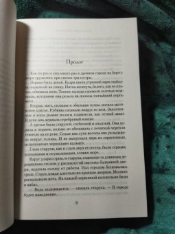 Дженнифер Доннелли: Сестрица