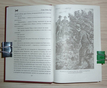 Рид Майн: Пиратский остров. Молодые невольники