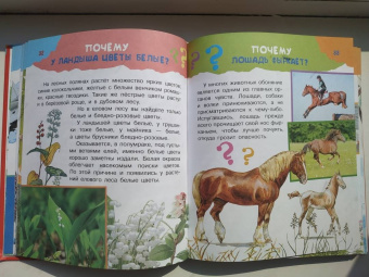 Малов, Альтшулер: Почему и отчего. Самые интересные детские вопросы