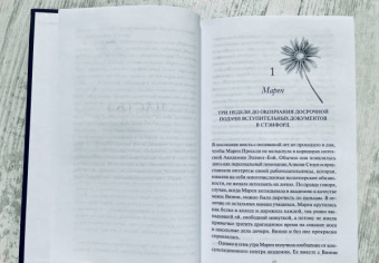 Добмайер, Кацман: Девочки с блестящим будущим