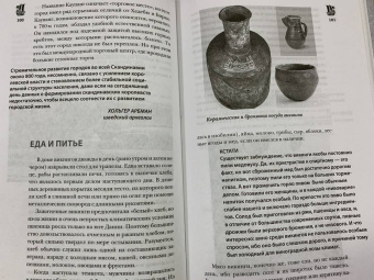 Зергиус Ванкукер: Викинги. Полная история
