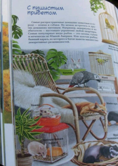 Юлия Смирнова: Природа в городе