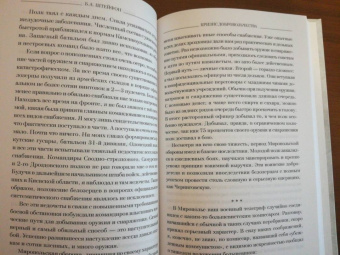 Борис Штейфон: Кризис добровольчества. Бредовский поход