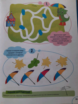 Ирина Овчинникова: Годовой курс развития внимания у ребенка. 4-5 лет