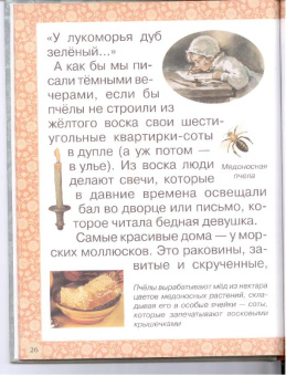 Инна Гамазкова: Гнезда, норки, домики