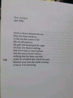 Келли Гровьер: Бабочка в Британском музее