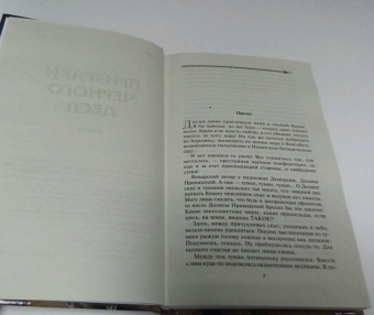 Евгений Шалашов: Призраки Черного леса