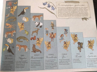 Секретная жизнь фей