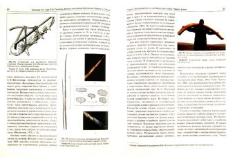 Хлопачев, Гиря: Секреты древних косторезов Восточной Европы и Сибири