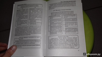 Андрей Руденко: Педагогика в схемах и таблицах. Учебное пособие