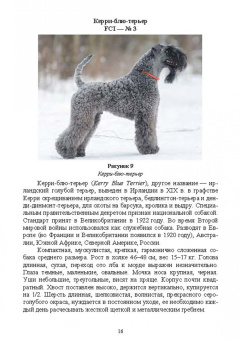 Дмитрий Тарнуев: Охотничьи собаки. Учебное пособие для вузов