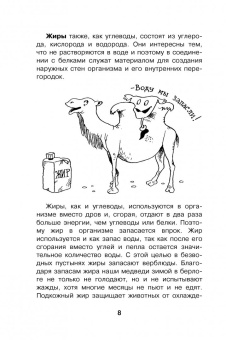 Борис Сергеев: Как устроен человек