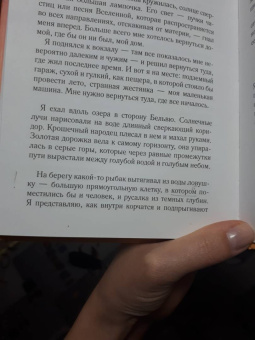 Моника Саболо: Саммер