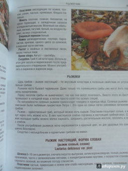 Иван Куреннов: Грибы. Полная иллюстрированная энциклопедия