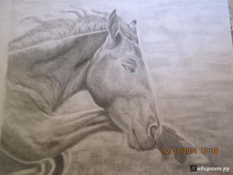 Ли Хэммонд: Учимся рисовать лошадей