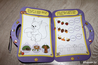 Юлия Сафонова: Интеллектуальное развитие. Для детей 4-5 лет