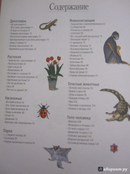 Большая энциклопедия эрудита