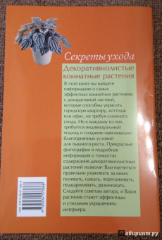 Валентин Воронцов: Секреты ухода. Декоративнолистные комнатные растений
