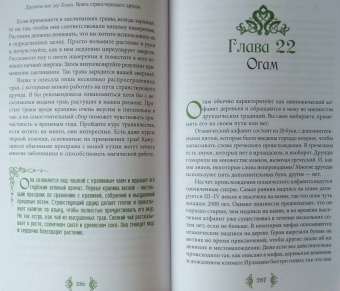 ван дер Ховен Джоанна: Книга странствующего друида. Полное руководство для одинокого искателя