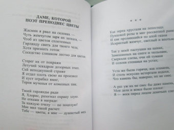 Гонгора-и-Арготе, Де, Амескуа: Поэзия испанского барокко