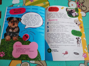 Серия "Мои домашние питомцы" (комплект 4 книги)
