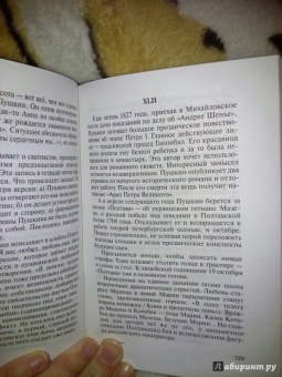 Владимир Новиков: Пушкин