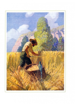 Даниель Дефо: Робинзон Крузо