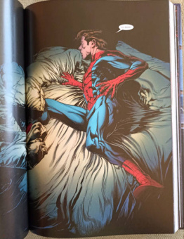 Кесада, Уэйд, Микелайни: Человек-паук. Происхождение видов. Всего лишь миг