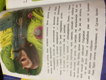 Альберт Иванов: Приключения Хомы и Суслика