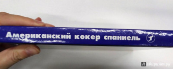 Марина Исайкина: Американский кокер спаниель. История. Стандарты. Содержание. Разведение. Выставки
