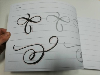 Анна Суворова: Каллиграфия кистью. Прописи. Латиница