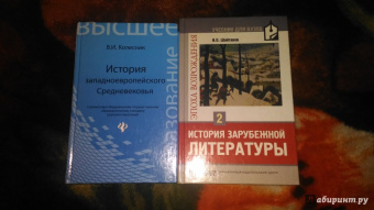 Игорь Шайтанов: История зарубежной литературы. Эпоха Возрождения. В 2 томах. Том 2