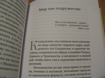 Марина Журинская: Мишка. О любви к Божьему созданию