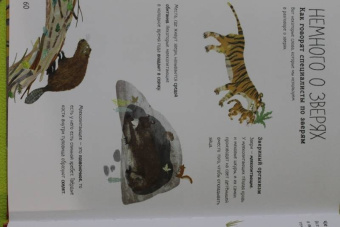 Зоммер, Тейлор: Большая книга зверей