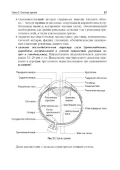 Смирнов, Умрюхин: Физиология сенсорных систем. Высшая нервная и психическая деятельность, поведение. Учебное пособие