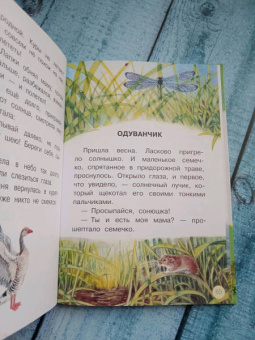 Наталия Немцова: Лучшие сказки для почемучки