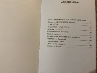 Степан Косьяненко: Уроки менеджмента для самых маленьких