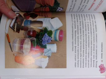 Надежда Ширяева: Узамбарские фиалки