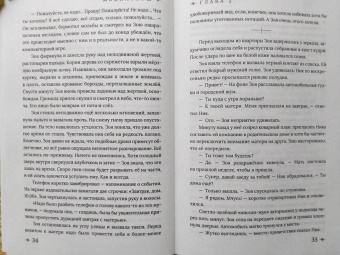 Дарья Буданцева: Медиаторы. Книга 1. Право на власть