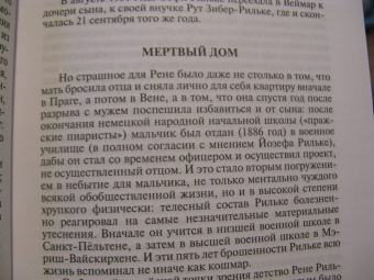 Николай Болдырев: Рильке