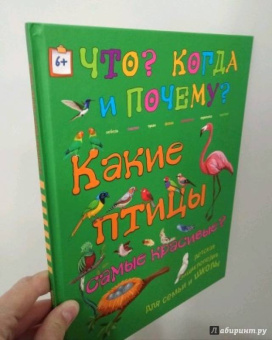 В. Владимиров: Какие птицы самые красивые?