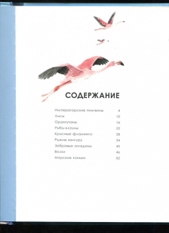 Олливье, Клаас: Лучшие родители
