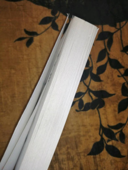 Стефан Анхем: 10 способов умереть