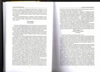 Игнатий Святитель: Аскетическая проповедь