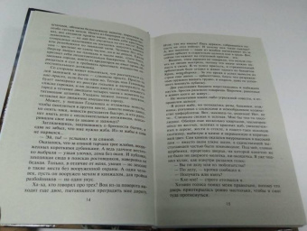 Евгений Шалашов: Призраки Черного леса