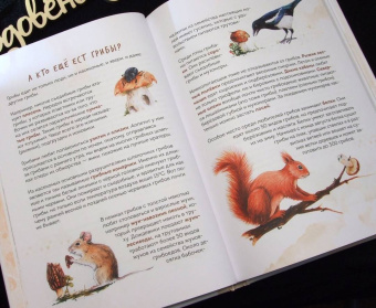 Михаил Вишневский: Грибы. Атлас-определитель