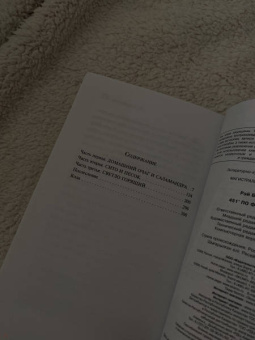 Рэй Брэдбери: 451' по Фаренгейту