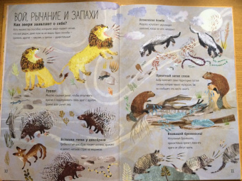 Зоммер, Тейлор: Большая книга зверей