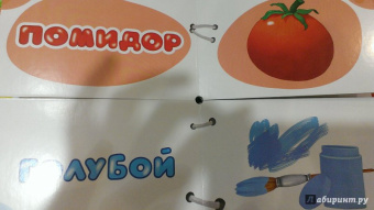 Найди половинки. Цвета и краски